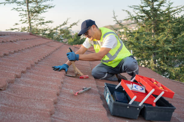 Quick and Trustworthy Emergency Roof Repair Services in Wagner, SD